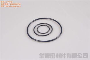 z型氟膠密封圈 z型密封圈 華奇密封件廠家直銷 多圖